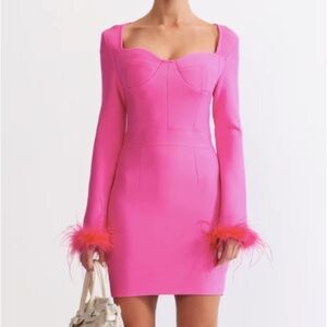 Sierra Darrien Long Sleeve Pink Dress With Feathers
